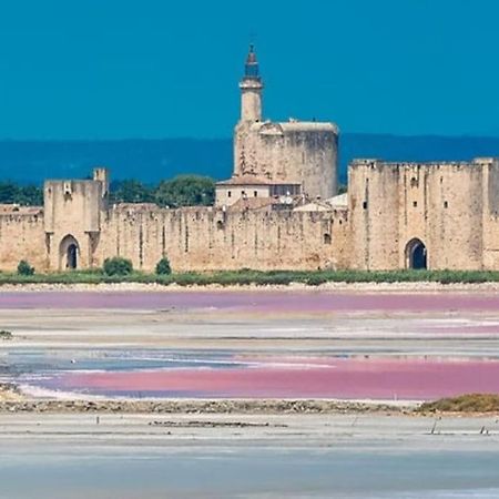 Studio En Petite Camargue Le Cailar エクステリア 写真
